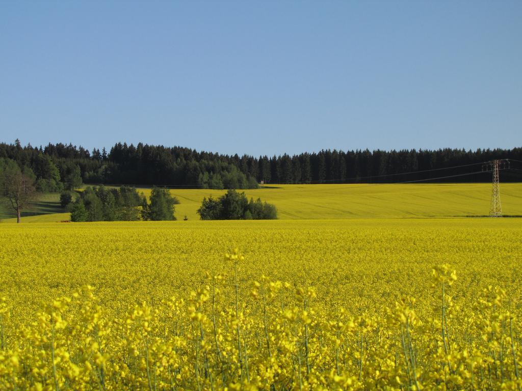 Stollenklause Daire Hormersdorf  Dış mekan fotoğraf
